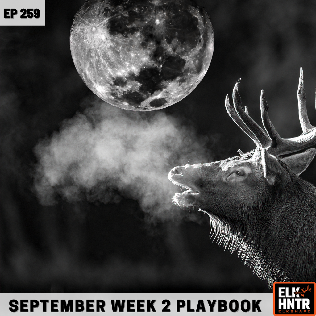 2nd Week of September Elk Hunting Strategy