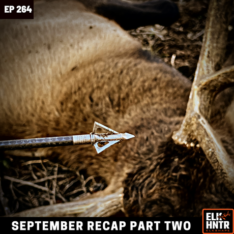 September Recap Part 2 (Early Release due to Hunting TMZ)