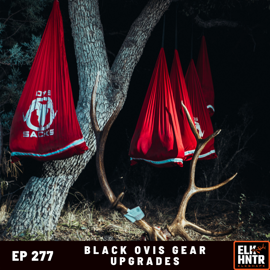 Top Gear Picks from the Black Ovis Team