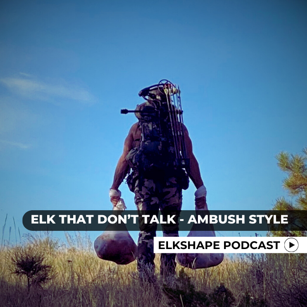 Elk Won T Talk Ambushing Elk On Public Land Elkshape