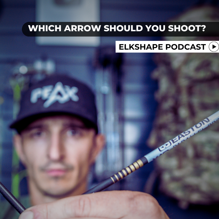 Which Arrow Should You Shoot?