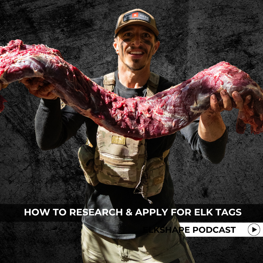 How to Research & Apply For Elk Tags