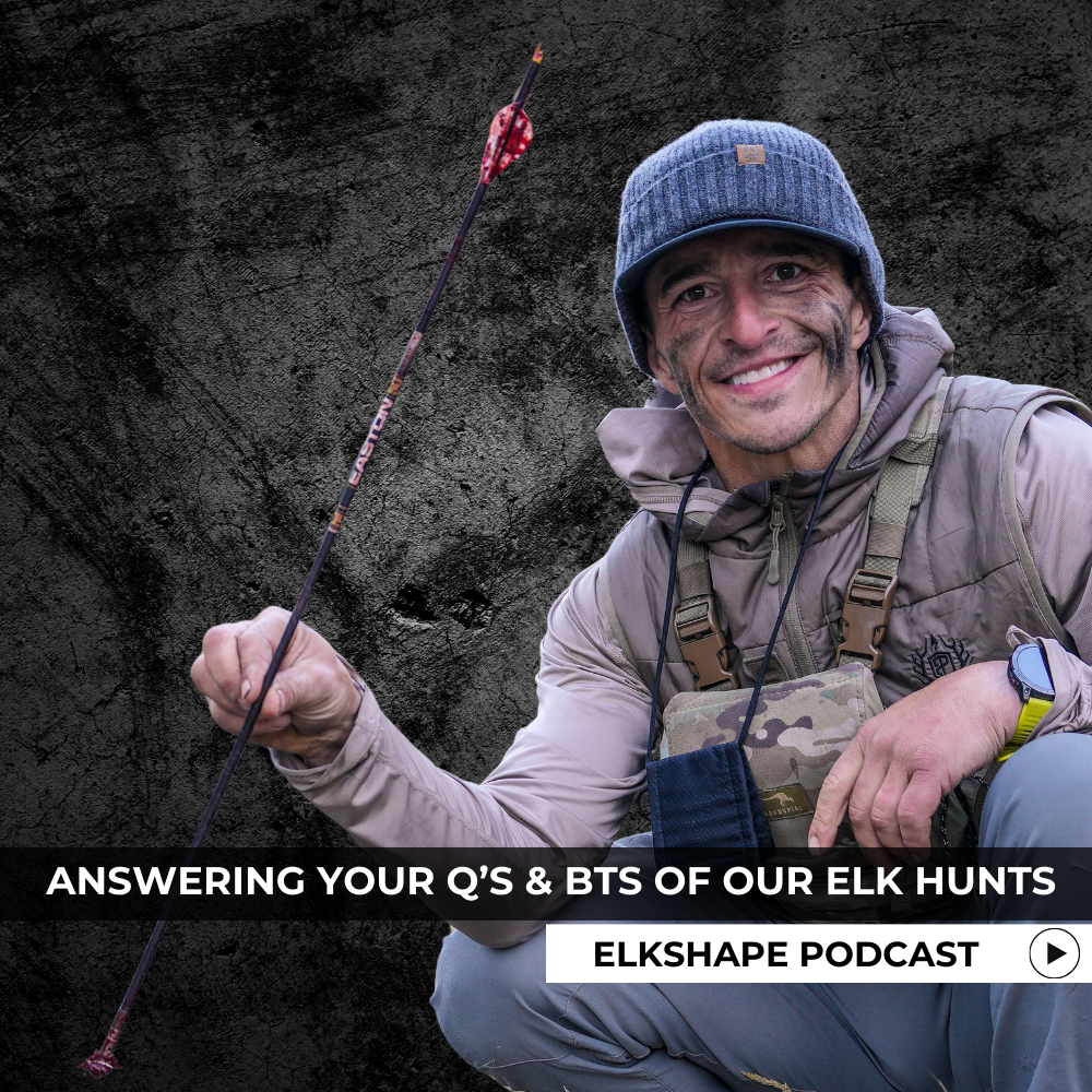 Answering Your Questions & BTS of our Elk Hunts...