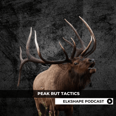 ELKSHAPE Podcast - Peak Rut Tactics
