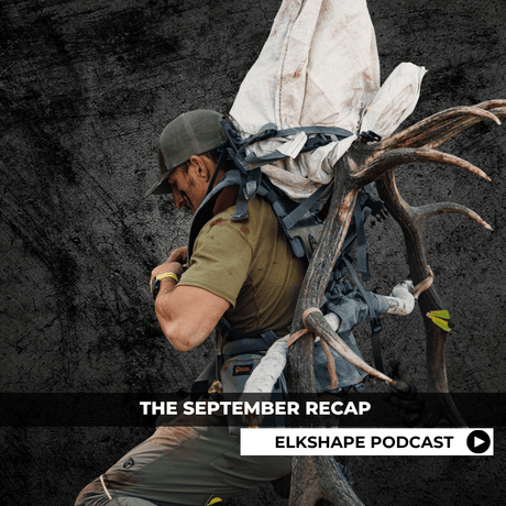 ELKSHAPE Podcast - September Recap