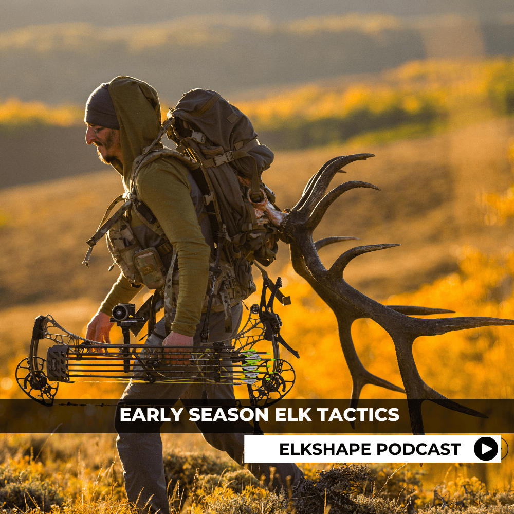 ELKSHAPE Podcast - Early Season Tactics