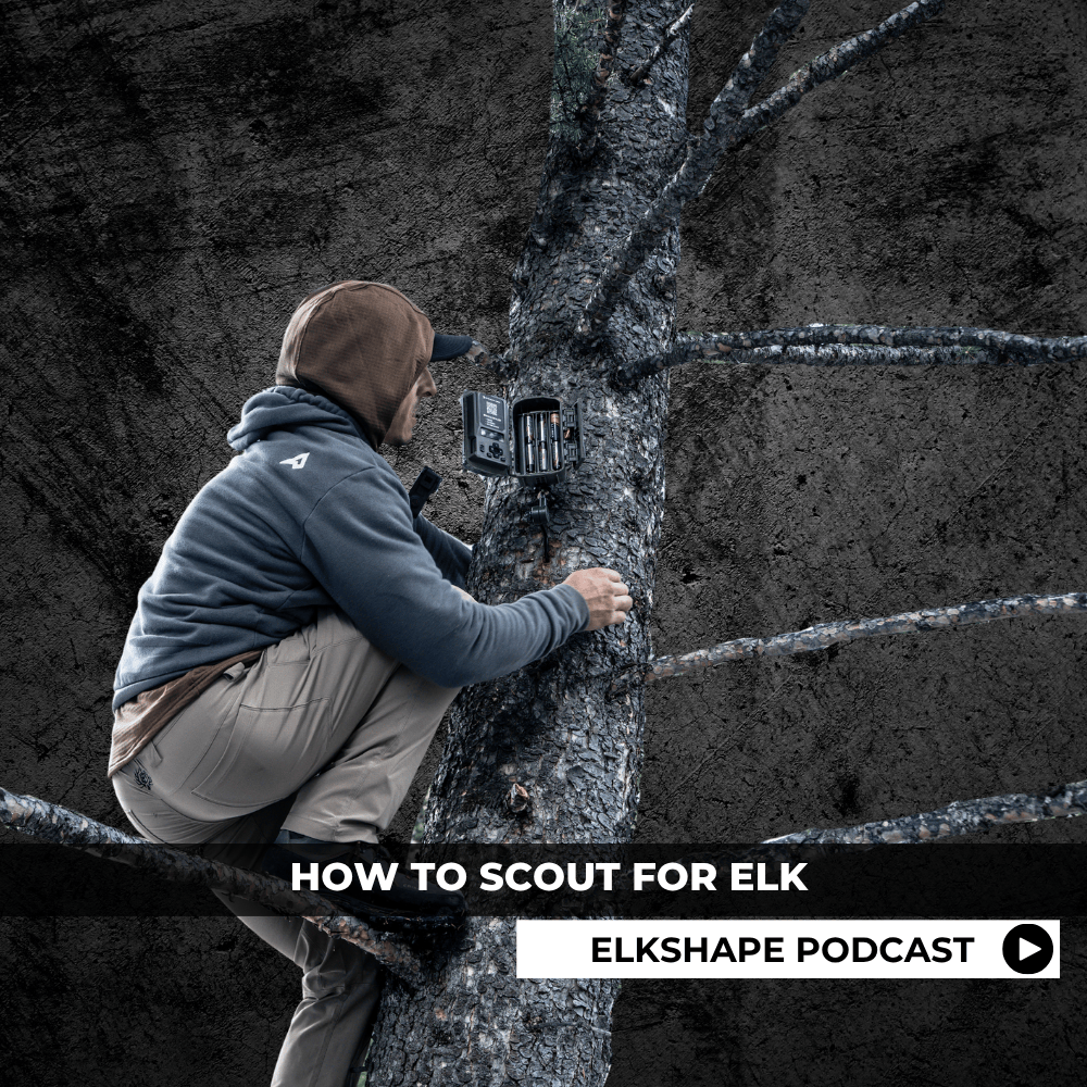ELKSHAPE Podcast - How to Scout for Elk