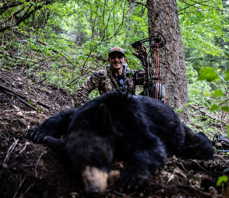 Bear Hunting On Your Own