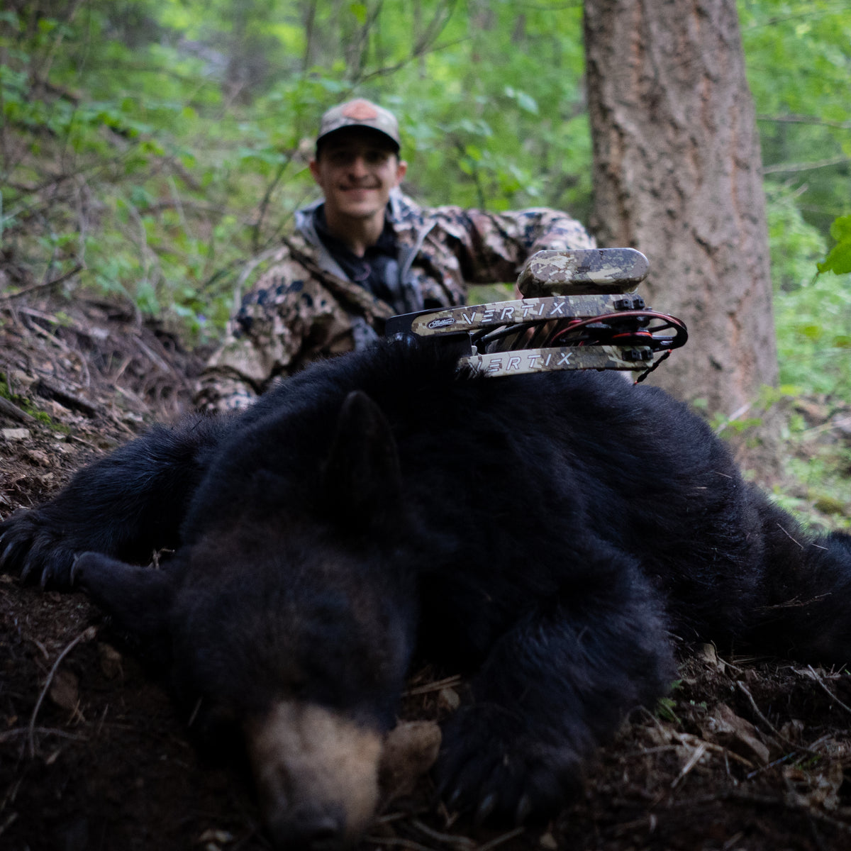 Spring Bear 2019 – ElkShape