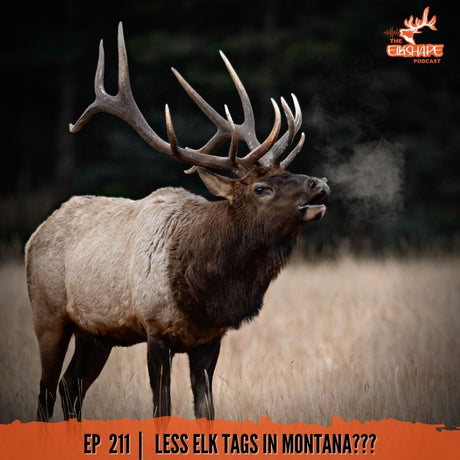 The Privatization of Elk Hunting Part 3 - Montana Could Be Next!