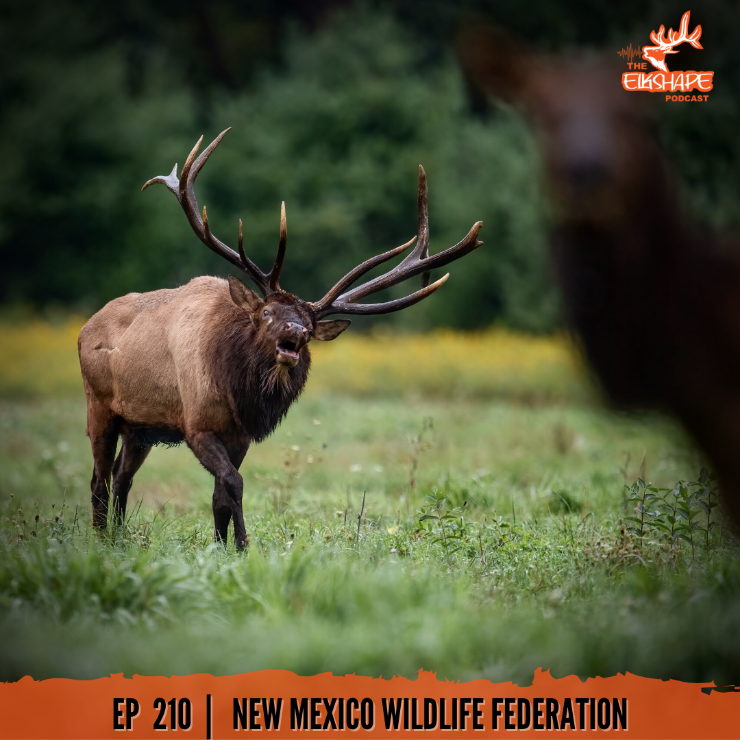 The Privatization of Elk Hunting Part 2 - NW Wildlife Federation