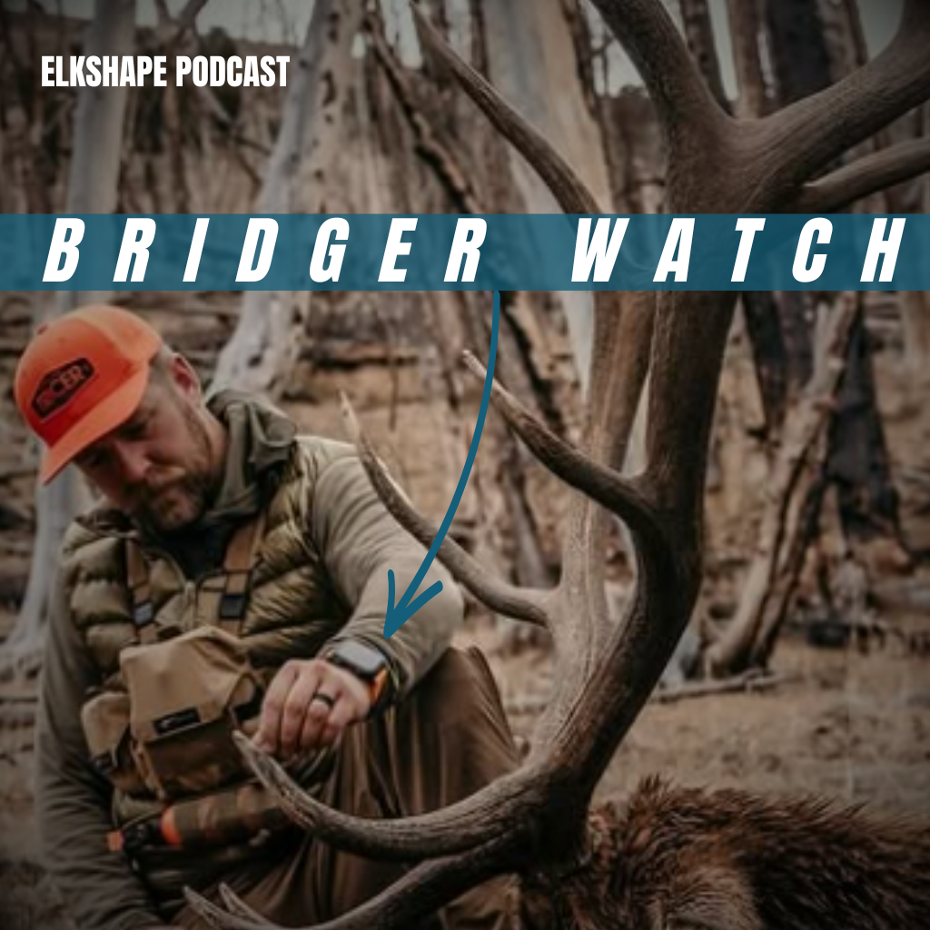 BRIDGER WATCH UPDATE BONUS POD
