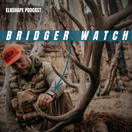 BRIDGER WATCH UPDATE BONUS POD