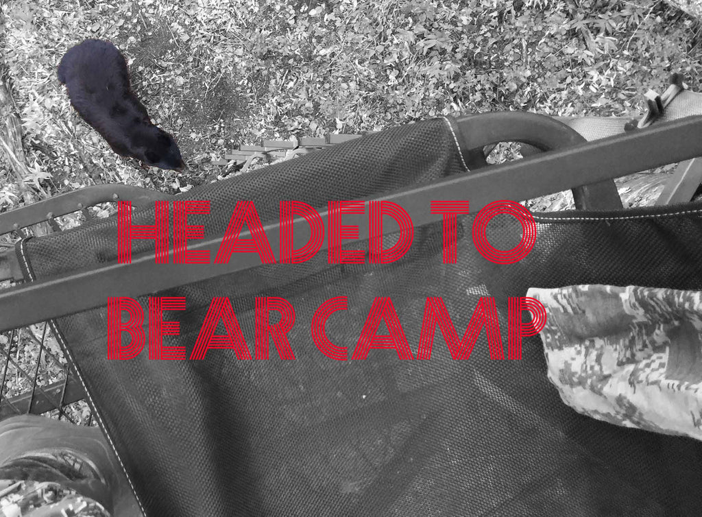 Headed to BEAR camp