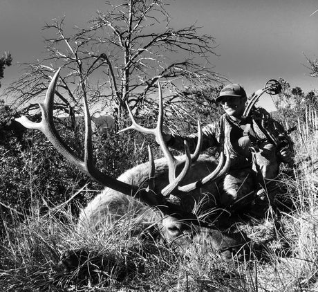 Late Season Archery Elk