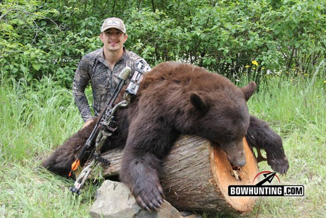 Bowhunting Spring Bears