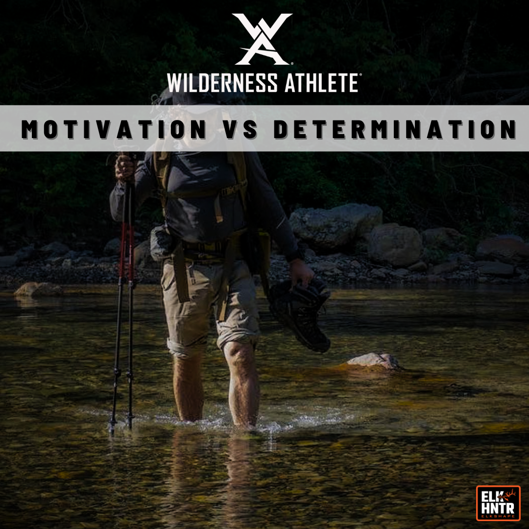 Motivation VS Determination