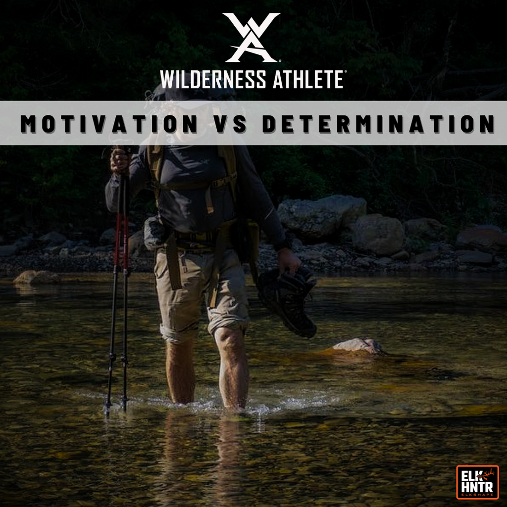 Motivation VS Determination