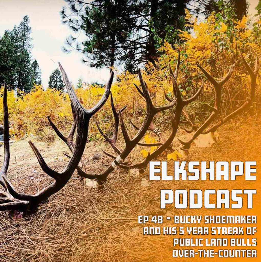 ElkShape Podcast EP 48 - Bucky & the 5 Year Run