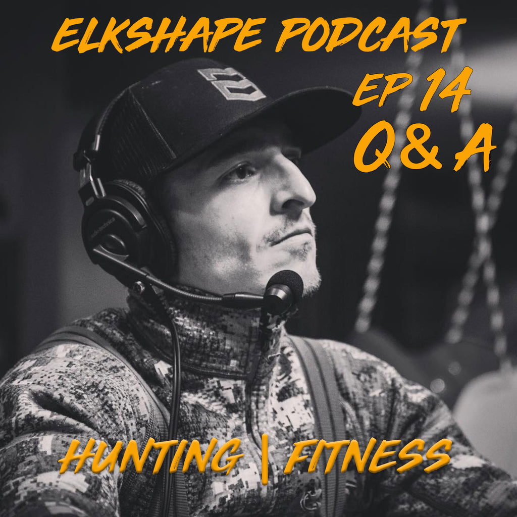 ElkShape Podcast EP 14 - Q&A