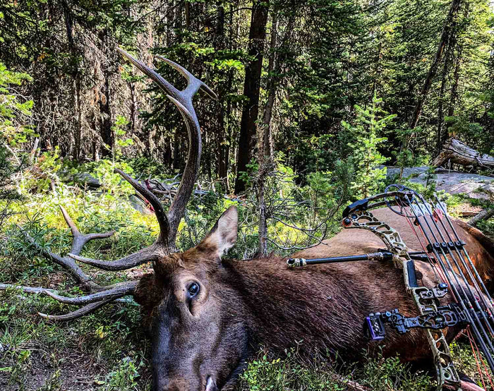 Articles – ElkShape