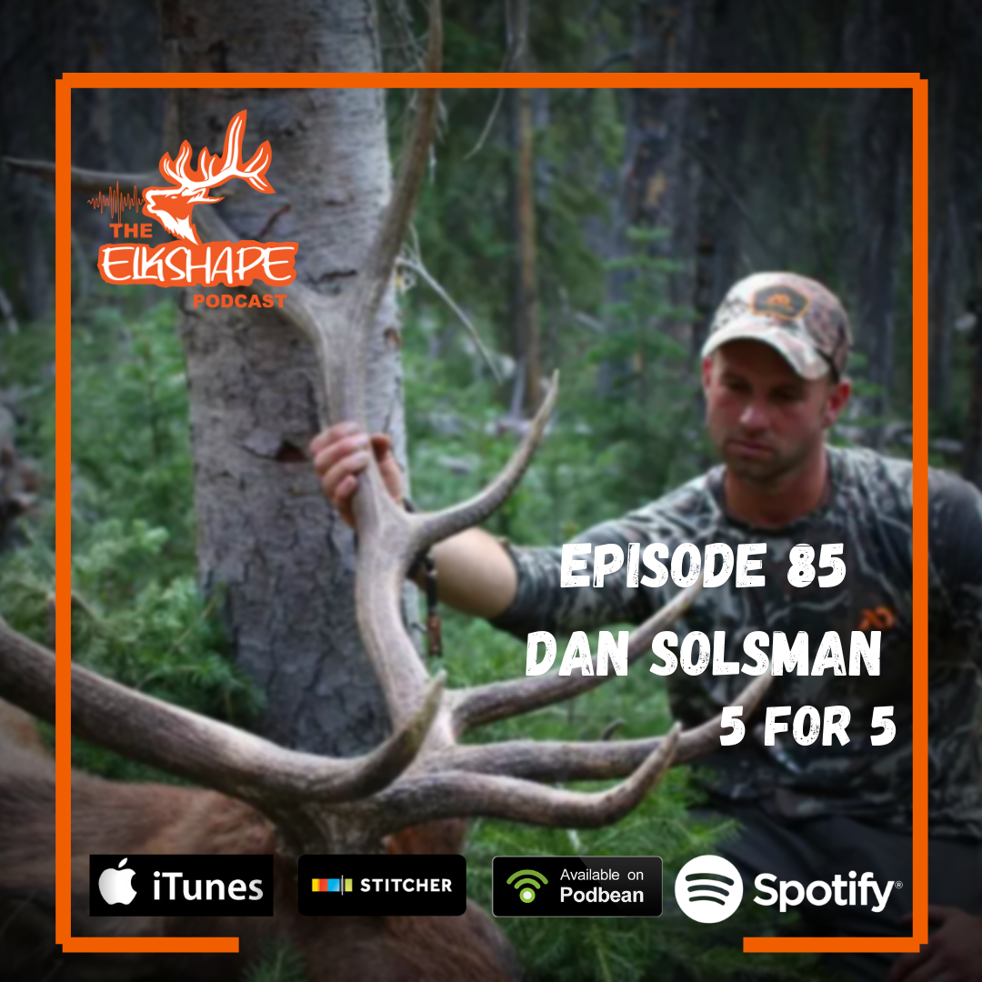 ElkShape Podcast - Dan Solsman goes 5 for 5 on Public Land Elk