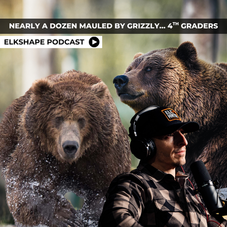 Consequences of the Grizzly Ban in British Columbia