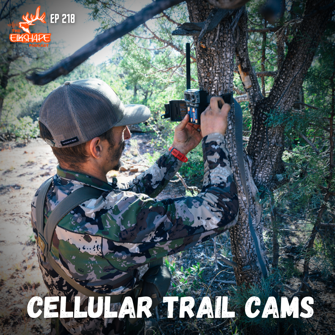 Cellular Trail Cameras: What You NEED to KNOW