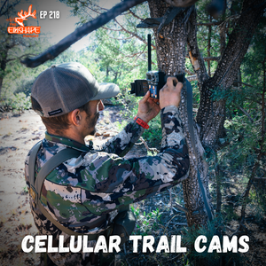 Cellular Trail Cameras: What You NEED to KNOW
