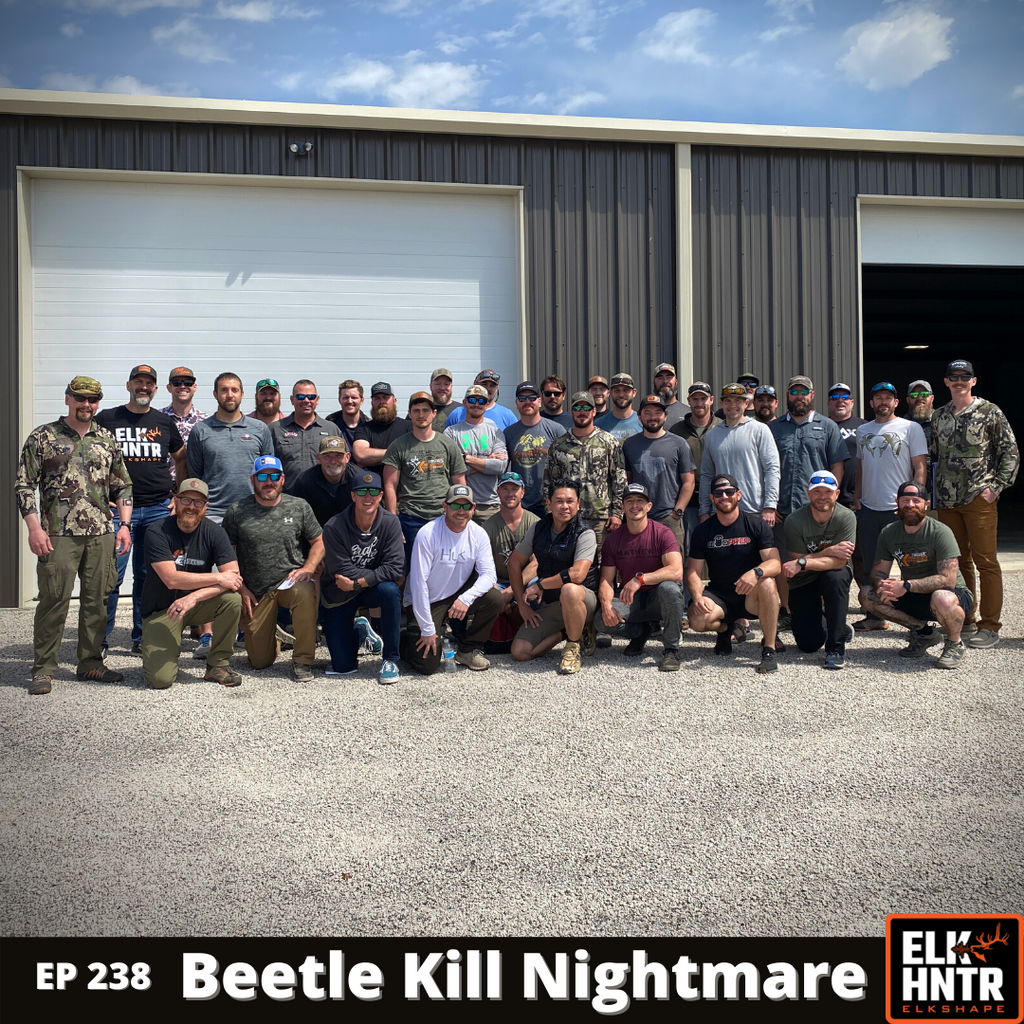 Beetle Kill Nightmare