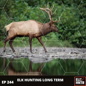 Elk Hunting Long Term