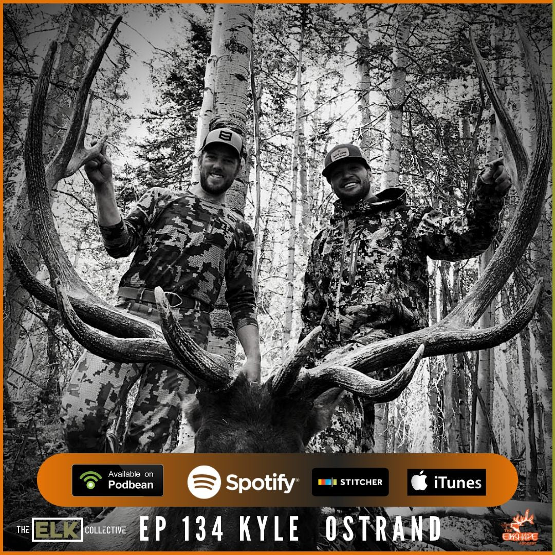 Kyle Ostrand on the Secrets of Elk Hunting Success