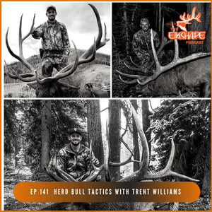 Trent Williams from WY, 3 bulls over 350 on PUBLIC LAND | Herd Bull Tactics
