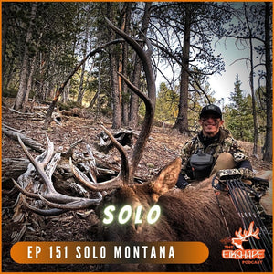Montana Solo Elk Hunting Recap & LESSONS Learned
