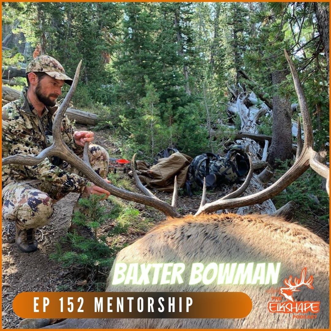How To Mentor NEW Elk Hunters