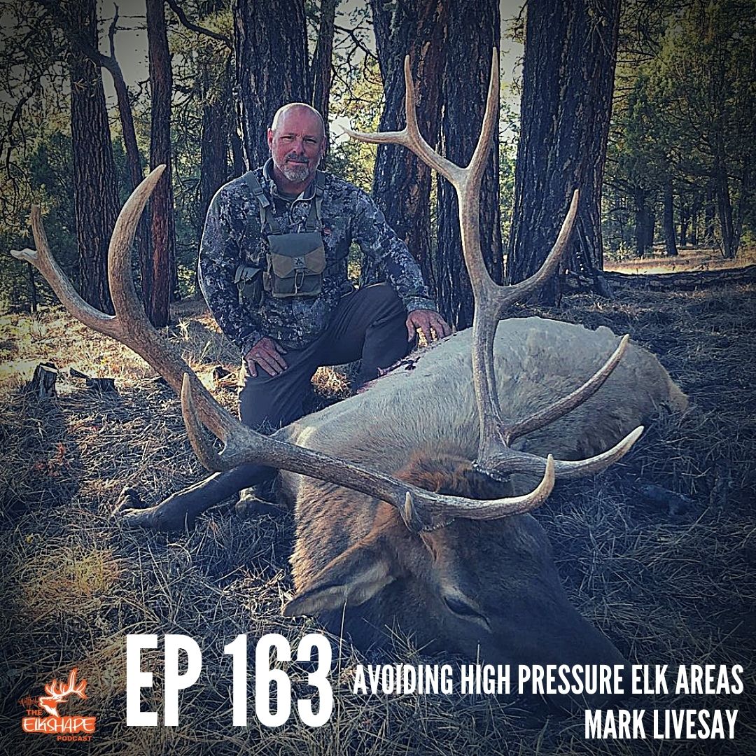 Avoiding High Pressure Elk Areas with Mark Livesay