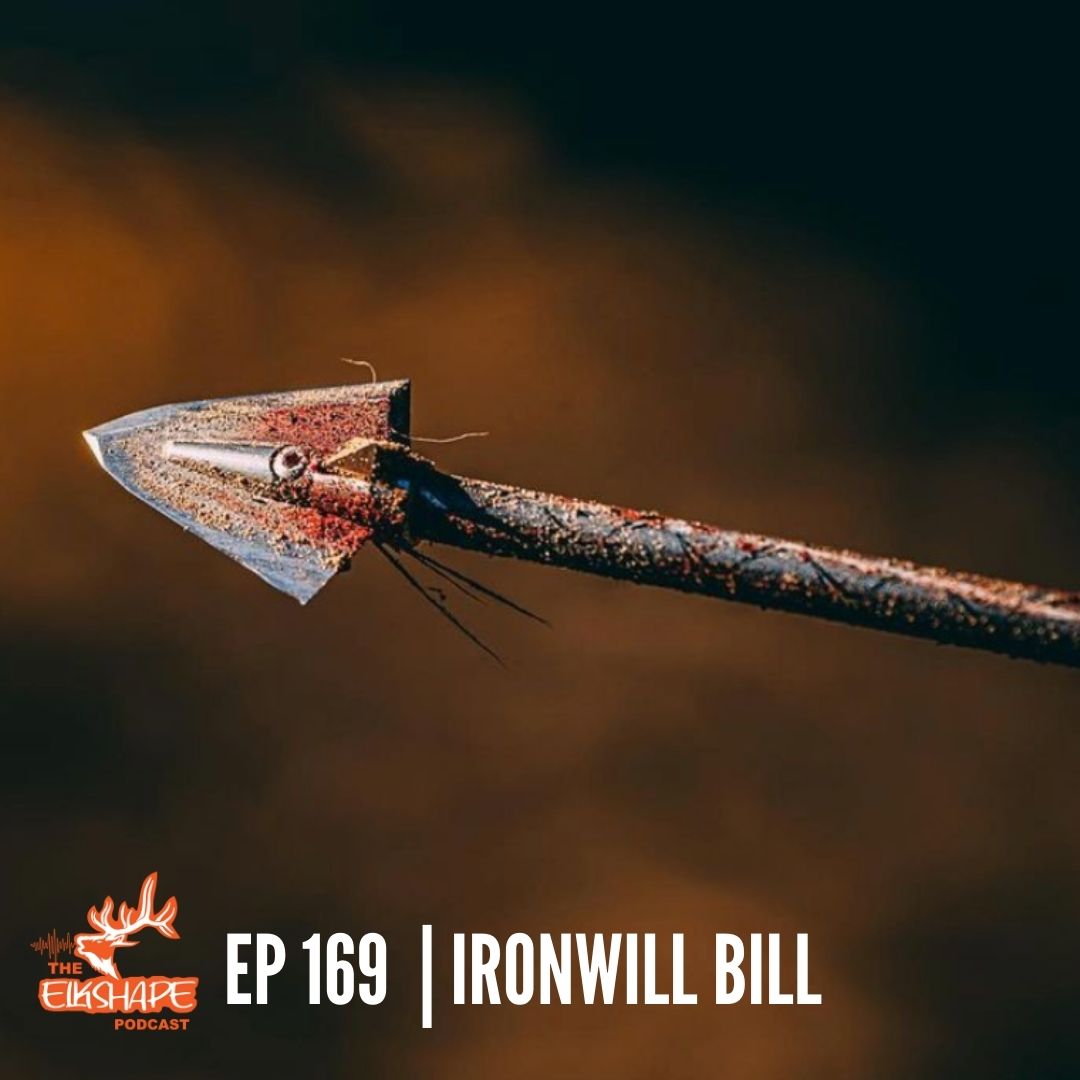 IRONWILL Bill & Broadhead Penetration