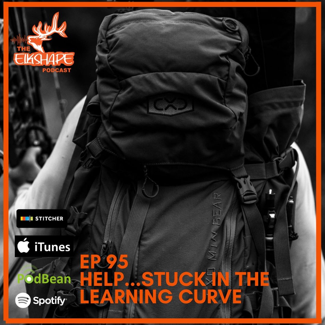 ElkShape Podcast EP 95 - HELP!!! Stuck in the Learning Curve