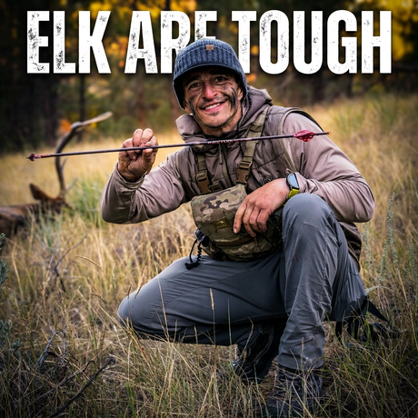 Elk are TOUGH + Plus Backcountry Bear Defense