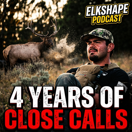 4 Years... Still No Archery Elk. Here's What He's Learned.