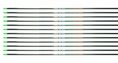 Victory VAP SHAFTS Arrow Shafts (12x)