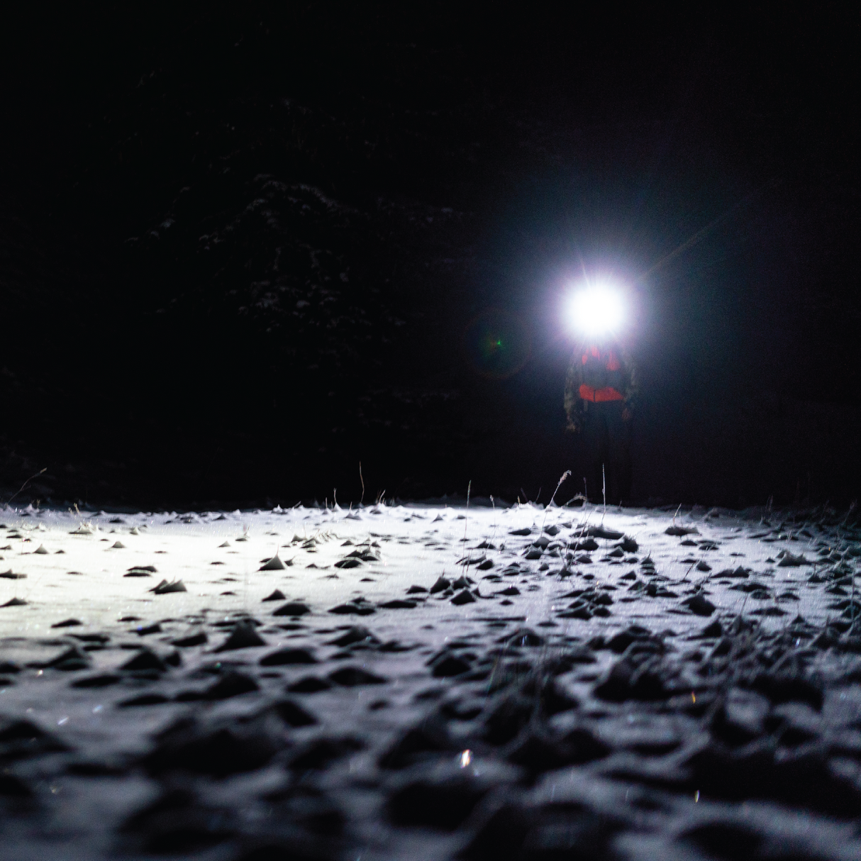 BACKCOUNTRY DUO HEADLAMP