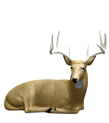 Rinehart COMPETITION Bedded Buck
