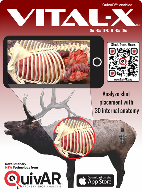 2D Bull Elk Broadside Target