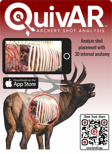 2D Bull Elk Quartering Away Target