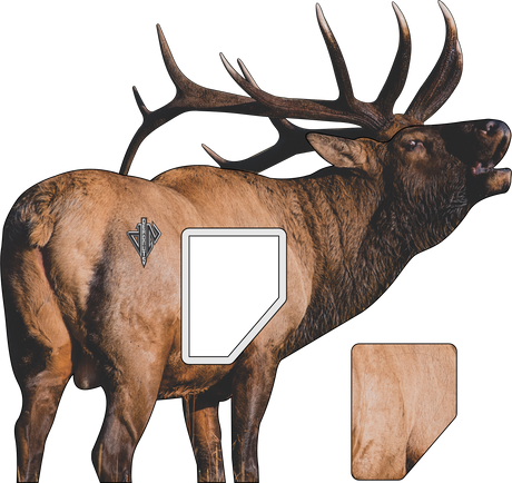 2D Bull Elk Quartering Away Target