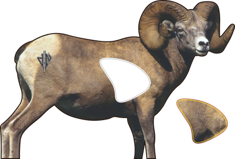 2D Bighorn Broadside Target