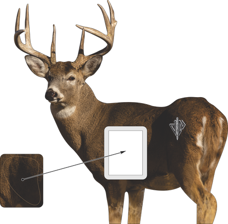 2D Whitetail "Willy" Quartering Away Target