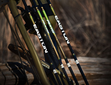 Easton 4mm AXIS LONG RANGE FLETCHED (singles)