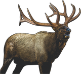 ElkShape Signature Series "Weneha" Quartering To Bull Elk